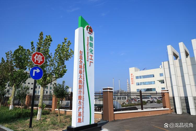 打造高科技饲用胆汁酸产业化基地 "造好产品,必先造好工厂"